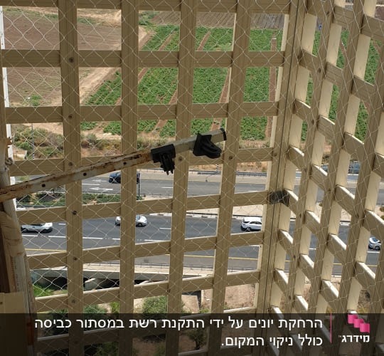 רשת למניעת כניסת יונים על מבנה עץ